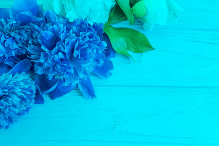 peony flower on wooden background frameの写真素材