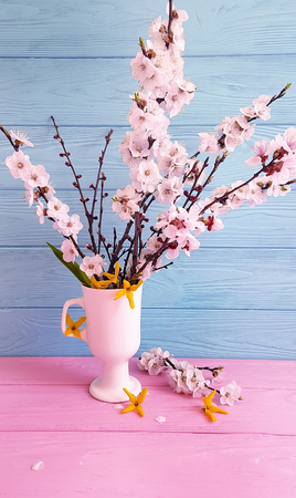 cherry blossoms in a wooden backgroundの写真素材