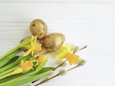 flower narcissus, fluffy willow on a white wooden background eggの写真素材