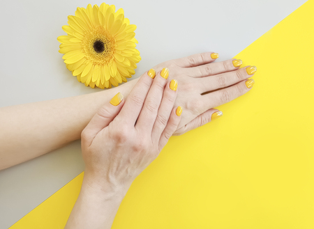 female hands manicure, gerbera flowerの写真素材