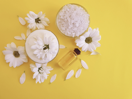 chrysanthemum soapの写真素材