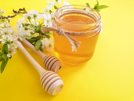 honey blooming cherryの写真素材