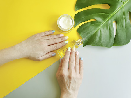 Monstera leaf, female hands beautiful manicure, cosmetic cream on a color backgroundの写真素材