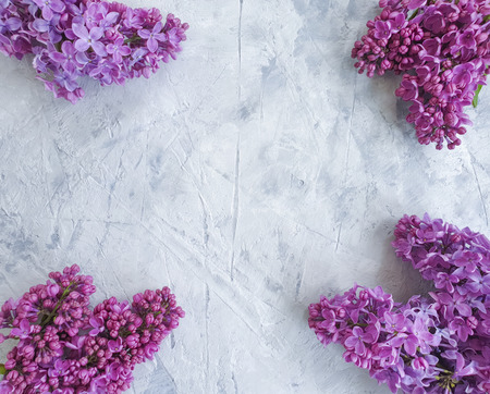 lilac flower on gray concrete background frameの写真素材