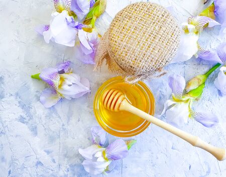 fresh honey iris flower on concrete backgroundの写真素材