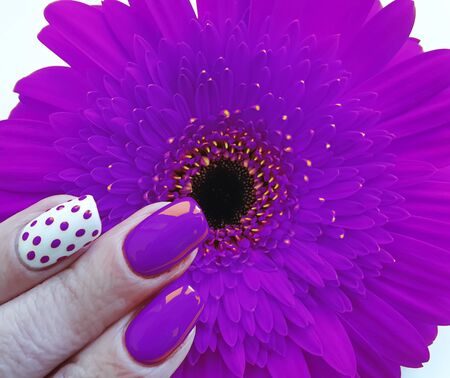 female hand beautiful manicure gerbera flowerの写真素材