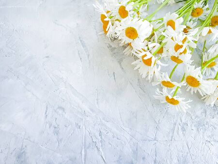 daisy flower bouquetの写真素材