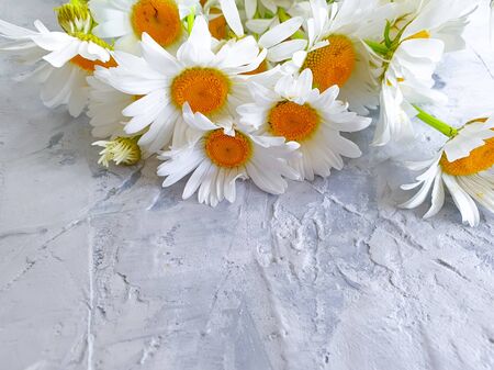 bouquet of daisies on a gray concreteの写真素材