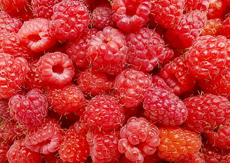 fresh juicy raspberries background delicious