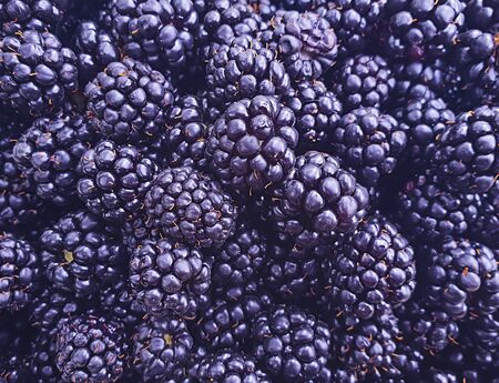 ripe blackberry organic background, healthy food