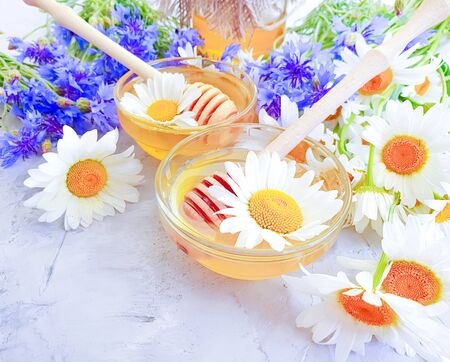 fresh honey daisy flowerの写真素材