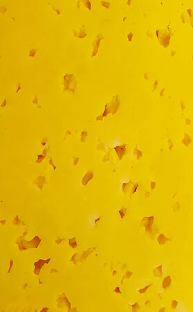 yellow fresh tasty cheese backgroundの写真素材