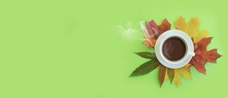 cup of coffee autumn leaves on a coloredの写真素材