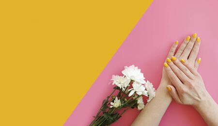 female hands manicure chrysanthemum flowerの写真素材