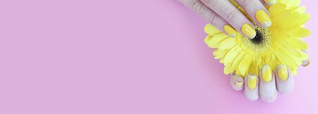 female hands manicure gerbera flowerの写真素材