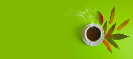 cup of coffee autumn leaves on a colored backgroundの写真素材