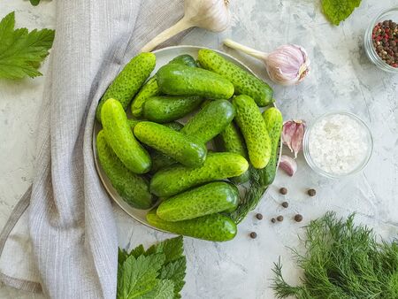 pickled cucumbers, garlic on a concreteの写真素材
