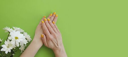 female hand beautiful manicure flower on a coloredの写真素材