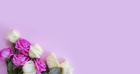 bouquet of roses on a colored background frame
