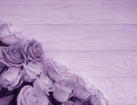 rose flower on wooden background frame birthdayの写真素材