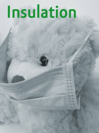 Teddy bear toy in a medical protective maskの写真素材