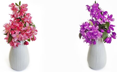 vase with magnolia flowers isolatedの写真素材