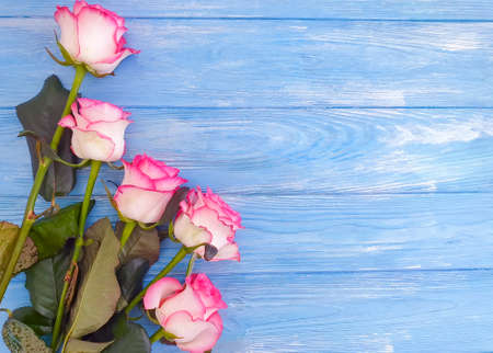 flower rose frame on wooden backgroundの写真素材