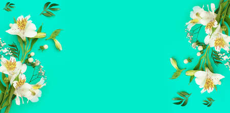 floral arrangement on colored background