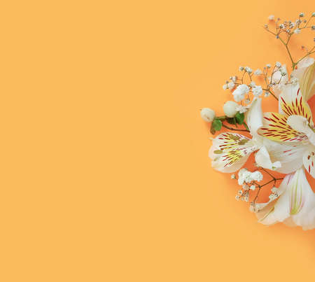 floral arrangement on colored backgroundの写真素材