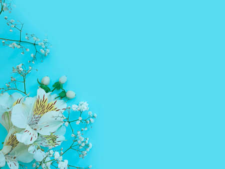 floral arrangement on colored background