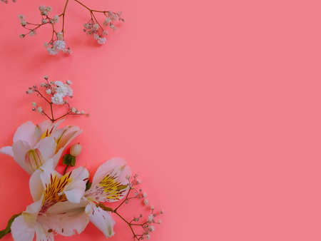 floral arrangement on colored background celebrationの写真素材