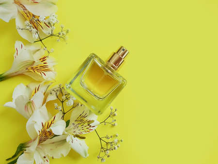 bottle perfume flower on a colored background