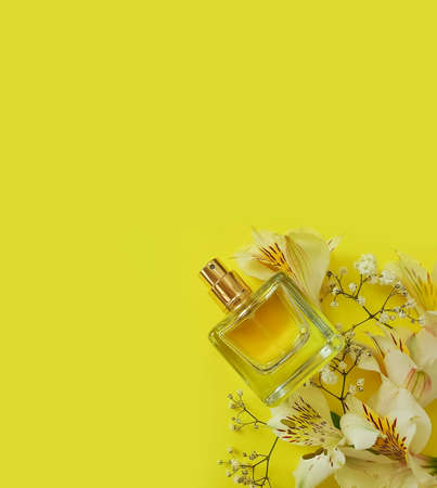 bottle perfume flower on a colored background