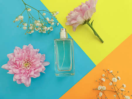 bottle perfume flower on a colored background, composition