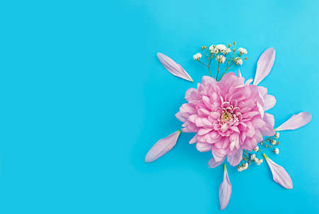 floral arrangement on colored background, composition, springの写真素材
