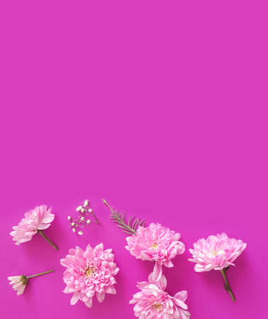floral arrangement on colored background, composition, springの写真素材