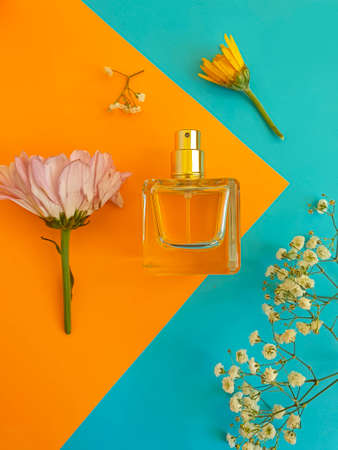 bottle perfume flower on a colored backgroundの写真素材