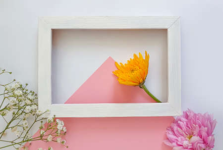 beautiful flowers on a colored background frame