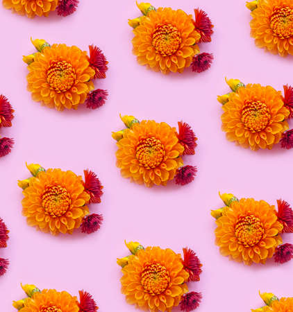 beautiful flowers on a colored background