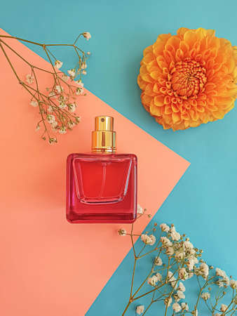 bottle perfume flower on a colored backgroundの写真素材