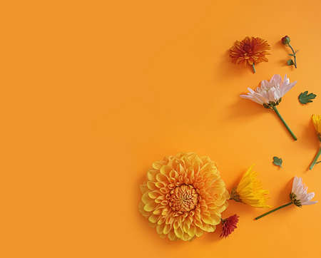 floral arrangement on colored background