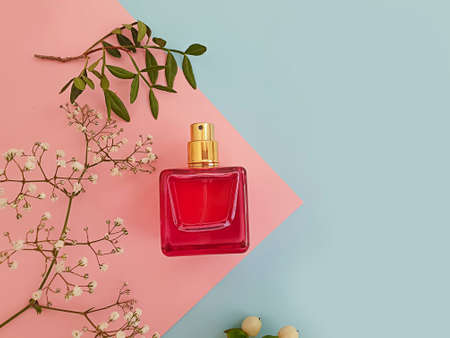 bottle perfume flower on a colored background
