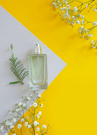 bottle perfume flower on a colored background