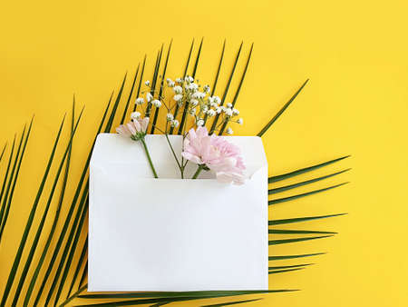 envelope, flower on a colored backgroundの写真素材