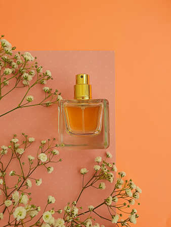bottle perfume flower on a colored background