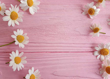chamomile flower on wooden backgroundの写真素材