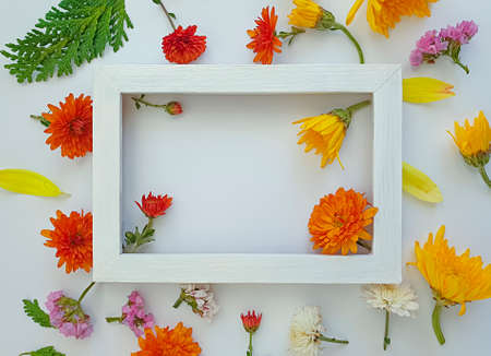 floral arrangement on colored backgroundの写真素材