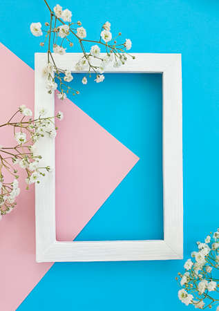 spring flowers on colored backgroundの写真素材