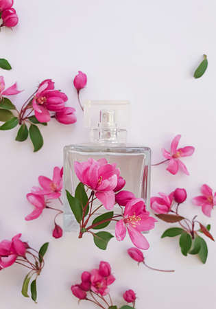 bottle perfume flower on a colored background
