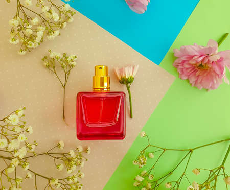 bottle perfume flower on a colored backgroundの写真素材